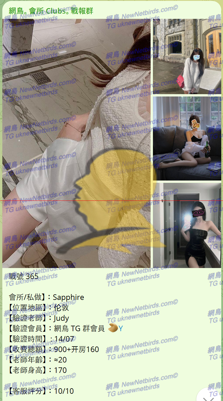 戰號 365 1.png